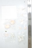 画像2: ブラインドドール/パーツ A-26-10-12-320-NY-ZA (2)