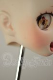 画像6: DDH-01/カスタムヘッド A-26-10-19-136-NY-ZA (6)