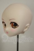 画像3: DDH-01/カスタムヘッド A-26-10-19-140-NY-ZA (3)
