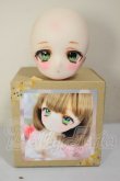 画像6: DDH-01/カスタムヘッド A-26-10-19-141-NY-ZA (6)