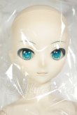 画像2: DD/初音ミク A-26-10-26-134-NY-ZA (2)