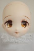 画像1: DDH-22/カスタムヘッド A-26-10-19-252-NY-ZA (1)