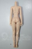 画像2: オビツ22ｃｍ/女の子ボディ・ナチュラル A-26-10-26-164-NY-ZA (2)