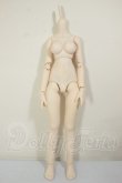 画像1: MDD/ベースボディIII A-26-10-26-117-NY-ZA (1)