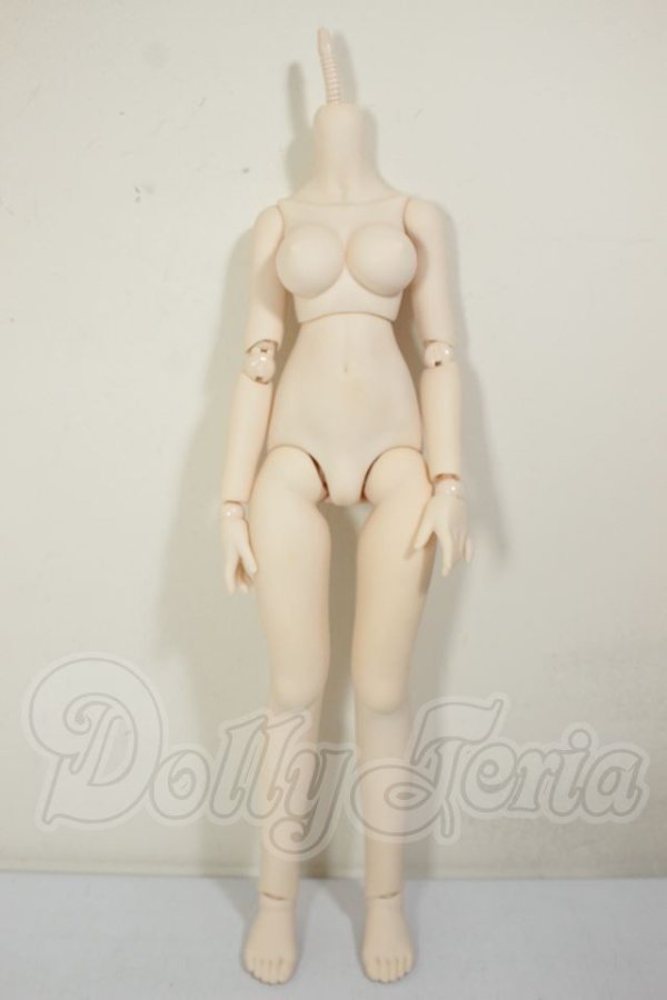 画像1: MDD/ベースボディIII A-26-10-26-117-NY-ZA (1)