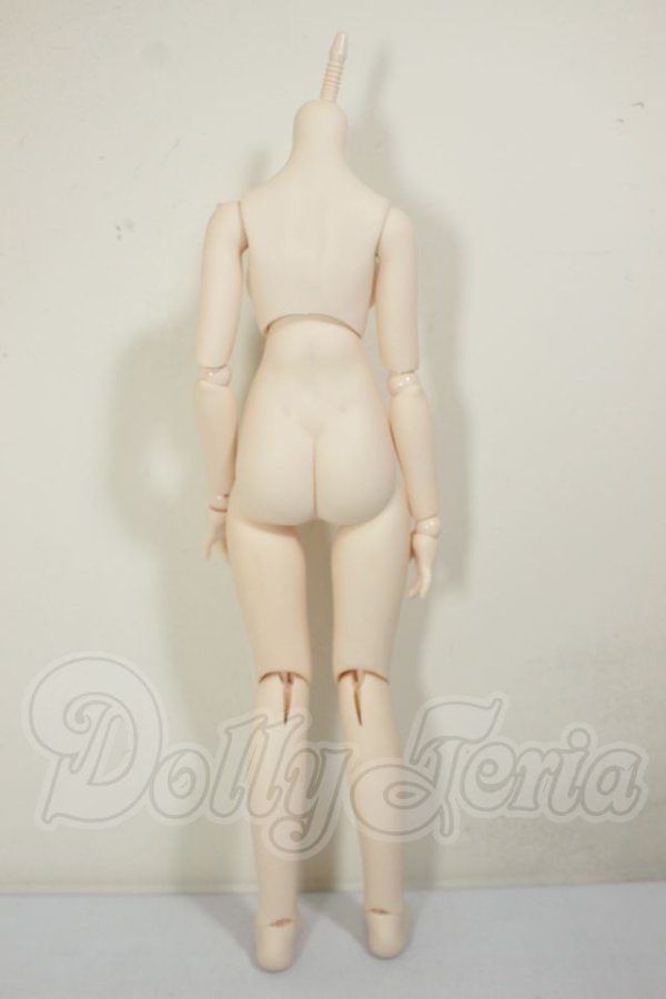 画像2: MDD/ベースボディIII A-26-10-26-117-NY-ZA (2)