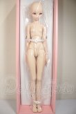 画像3: DD2.0/桜ミク2.0 A-26-10-26-106-NY-ZA (3)