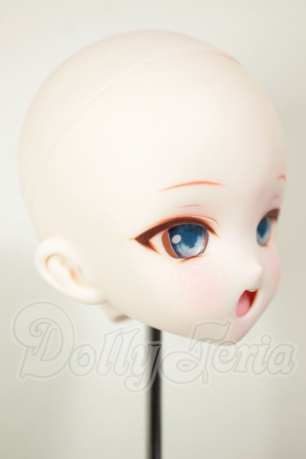 画像2: DDH-10/カスタムヘッド A-26-10-26-111-NY-ZA (2)