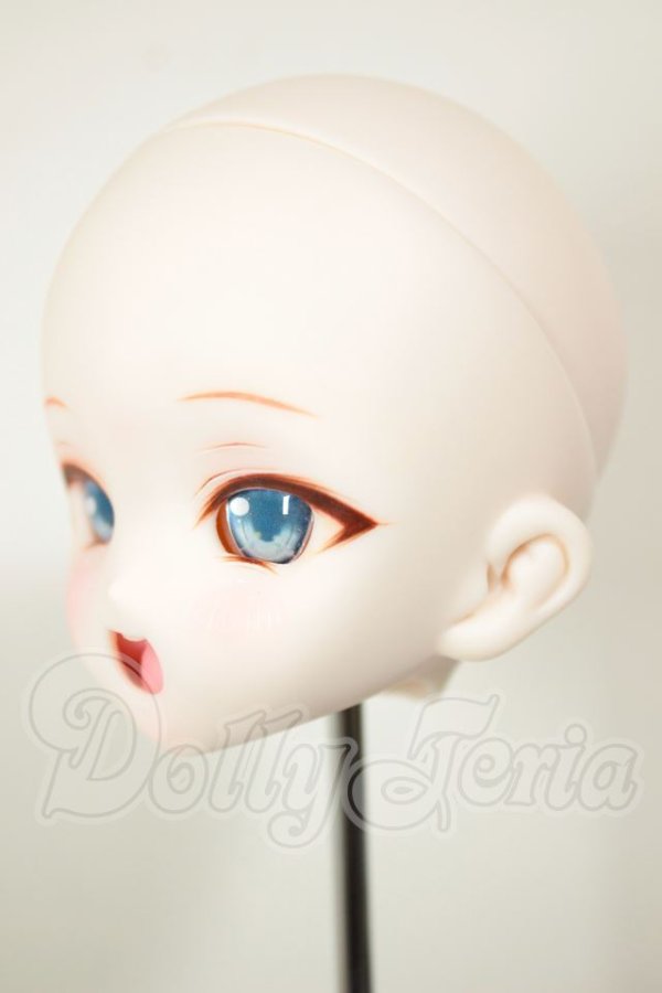 画像3: DDH-10/カスタムヘッド A-26-10-26-111-NY-ZA (3)