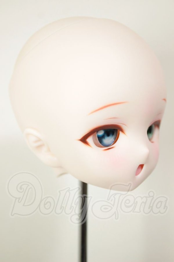 画像2: DDH-01/カスタムヘッド A-26-10-26-116-NY-ZA (2)