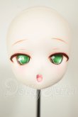 画像1: DD/DDH-29　カスタムヘッド A-26-10-26-109-NY-ZA (1)