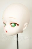 画像3: DD/DDH-29　カスタムヘッド A-26-10-26-109-NY-ZA (3)