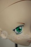画像5: DDH-06/カスタムヘッド A-26-10-26-173-NY-ZA (5)