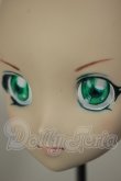 画像6: DDH-06/カスタムヘッド A-26-10-26-173-NY-ZA (6)