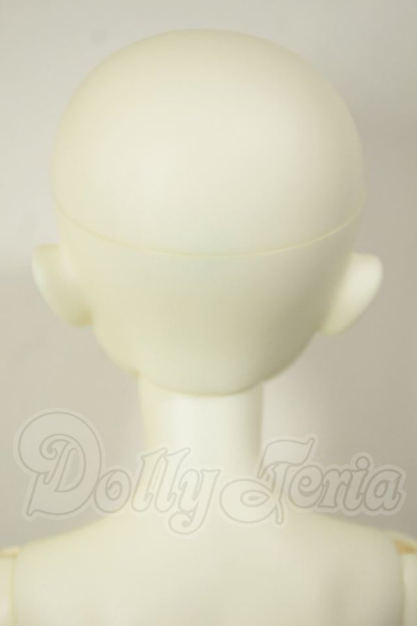 画像4: LITTLE MONICA/Rosetta A-26-10-26-169-NY-ZA (4)