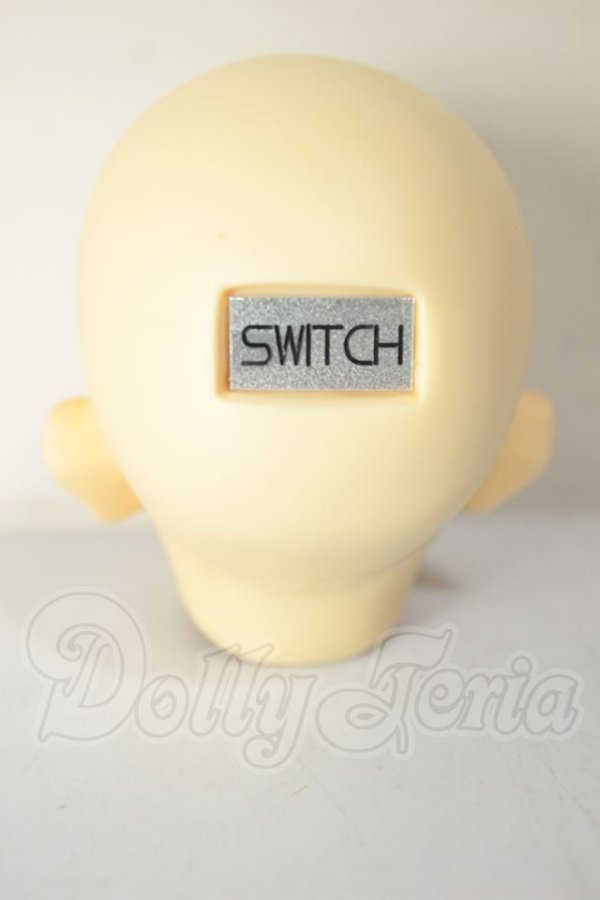 画像4: SWITCH/GYOHA　ヘッド A-26-10-26-172-NY-ZA (4)