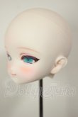 画像4: DDカスタムヘッド/DDH-01ひめ丸本舗様 A-26-10-26-245-NY-ZA (4)
