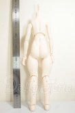 画像2: MDD/ベースボディ:もちあし A-26-10-26-251-NY-ZA (2)