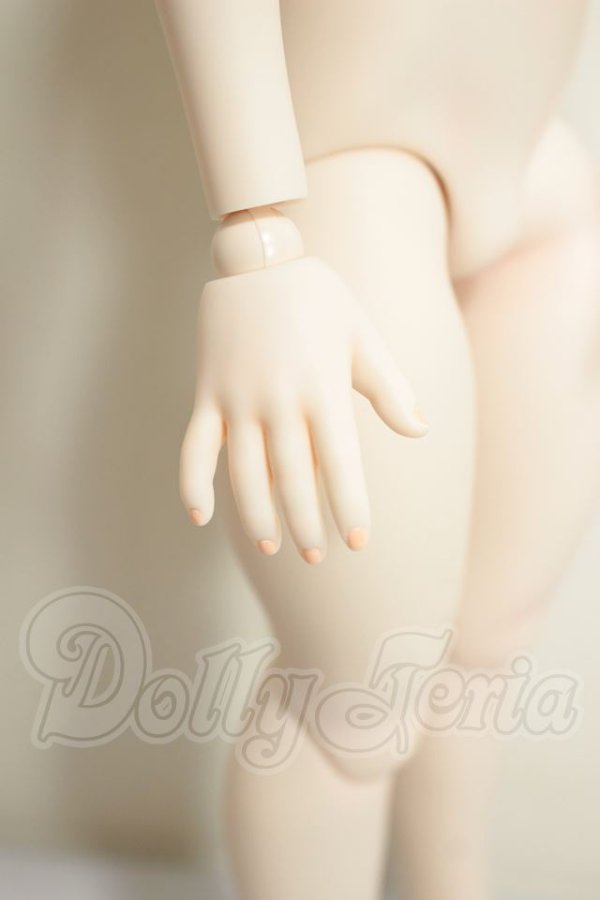 画像3: MDD/ベースボディ:もちあし A-26-10-26-251-NY-ZA (3)