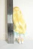 画像3: Cacarotedoll カカロットドール/Spring In April A-26-10-26-260-NY-ZA (3)