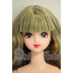 画像: キャッスルジェニー/ジェニーフレンド:みらい A-26-10-26-281-NY-ZA