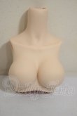 画像1: MDD/上半身パーツ A-26-10-26-337-NY-ZA (1)