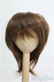 画像1: 8〜9inch/ウィッグ I-25-02-16-3025-KN-ZI (1)