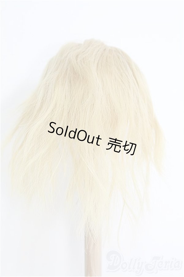 画像3: 8〜9inch/ウィッグ I-25-01-26-2049-KN-ZI (3)