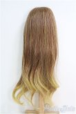画像2: 9〜10inch／ウィッグ：ロングカラー I-25-02-02-3020-KN-ZI (2)