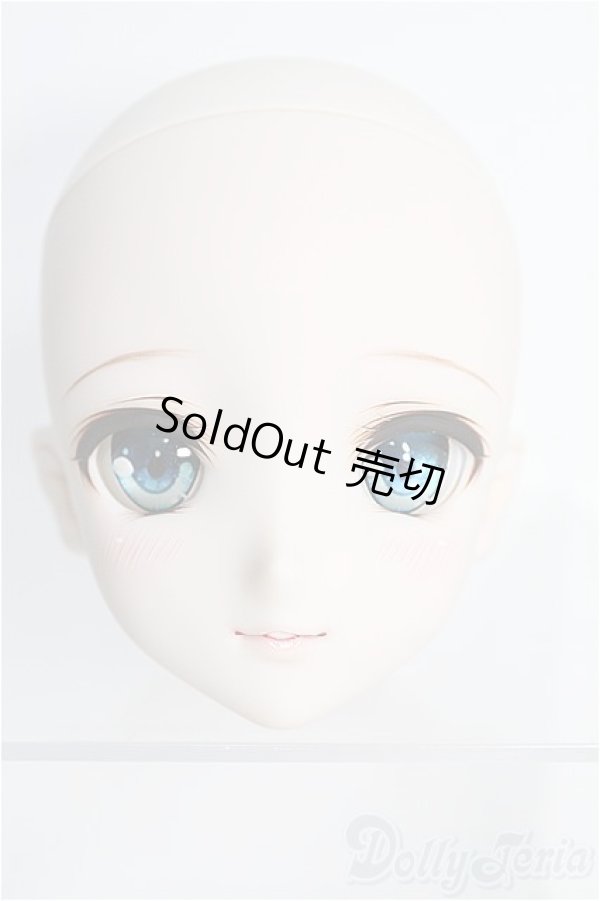 画像1: 【SALE】DD/m.t*様DDH-09カスタムヘッド I-24-09-29-1077-TO-ZI (1)
