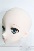 画像2: 【SALE】DD/m.t*様DDH-09カスタムヘッド I-24-09-29-1077-TO-ZI (2)