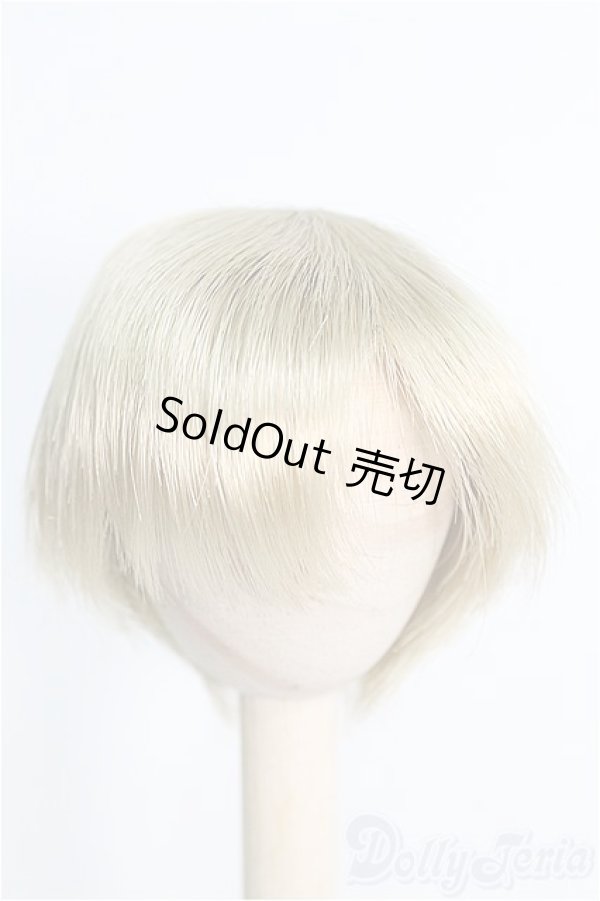 画像1: 6〜7inch/ウィッグ I-25-01-12-2037-TO-ZI (1)