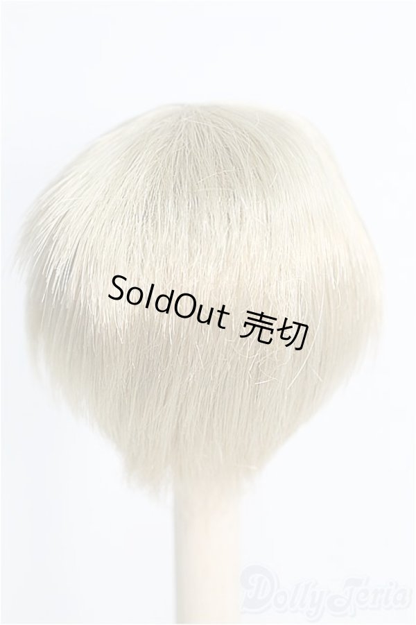 画像2: 6〜7inch/ウィッグ I-25-01-12-2037-TO-ZI (2)