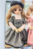 画像1: DSD/OF グレードレス I-25-01-26-3068-TO-ZI (1)