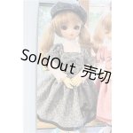 画像: DSD/OF グレードレス/ I-26-01-25-324-TO-ZI