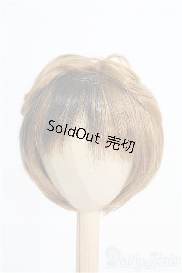 画像1: 9〜10inch/ウィッグ I-25-02-16-3028-TO-ZI (1)