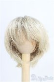 画像1: 7〜8inch/ウィッグ I-25-02-16-3014-TO-ZI (1)