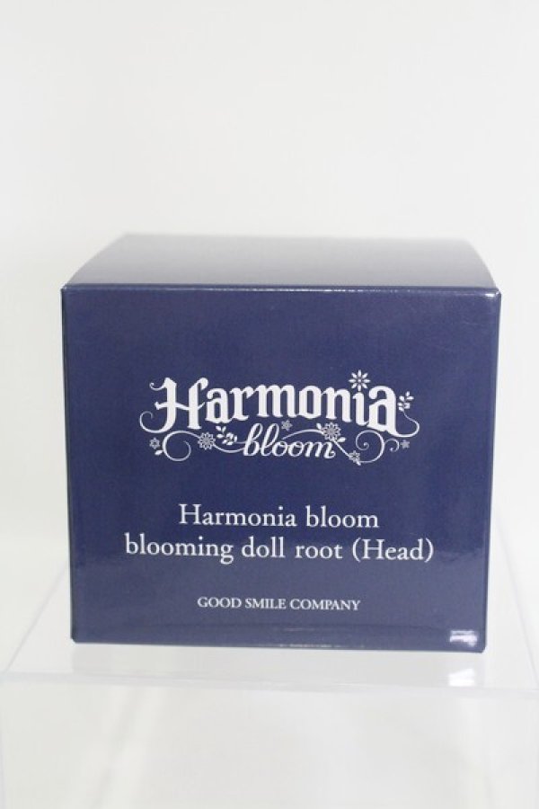画像1: Harmonia bloom/blooming doll root (Head) I-23-10-01-070-TO-ZI (1)