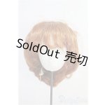 画像: 12〜13inch/ウィッグ I-25-03-16-2029-TO-ZI