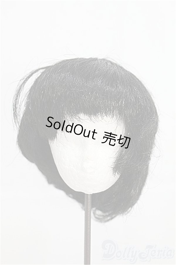 画像1: 12〜13inch/ウィッグ I-25-03-16-2030-TO-ZI (1)