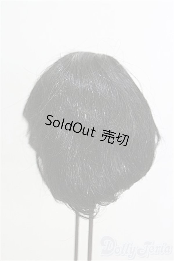 画像2: 12〜13inch/ウィッグ I-25-03-16-2030-TO-ZI (2)