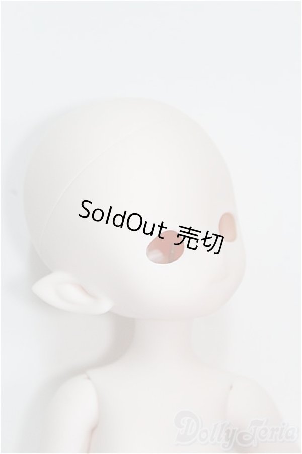 画像3: PUYOO/KUMAKO LALA I-24-09-22-1004-TO-ZI (3)