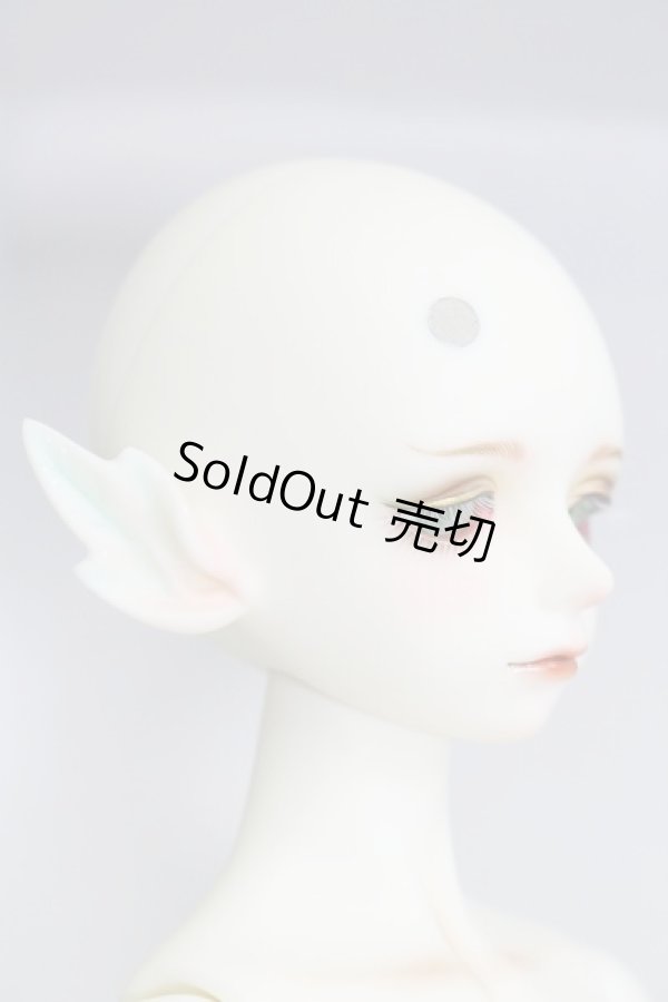 画像4: Gem of Doll/Hades I-23-11-05-008-TO-ZI (4)