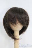 画像1: 7〜8inch/ウィッグ I-25-04-20-2017-TO-ZI (1)