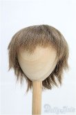 画像1: 9〜10inch/ウィッグ I-25-03-16-2020-TO-ZI (1)