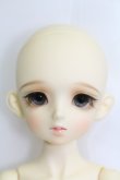 画像1: BJD CROBI/C-Line　Heidi I-23-11-05-006-TO-ZI (1)