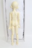 画像6: BJD CROBI/C-Line　Heidi I-23-11-05-006-TO-ZI (6)