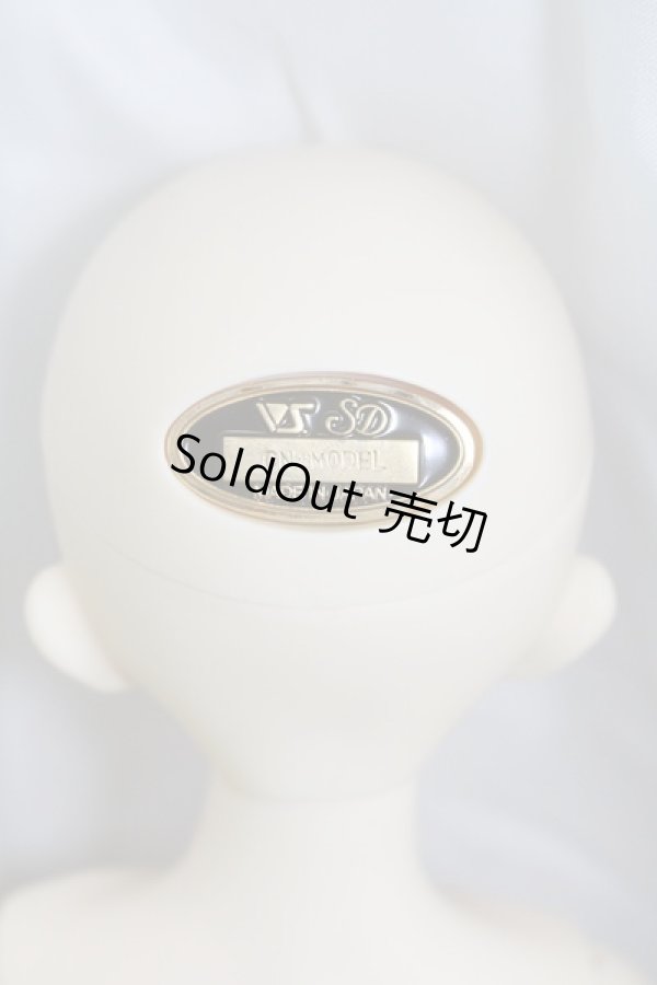 画像4: SDM/コーディネートモデル:F47 I-23-11-05-002-TO-ZI (4)