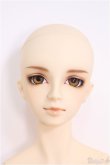 画像1: 【SALE】SDGrBOY/フルチョイス：F-40番ヘッド I-24-09-08-1003-TO-ZI (1)