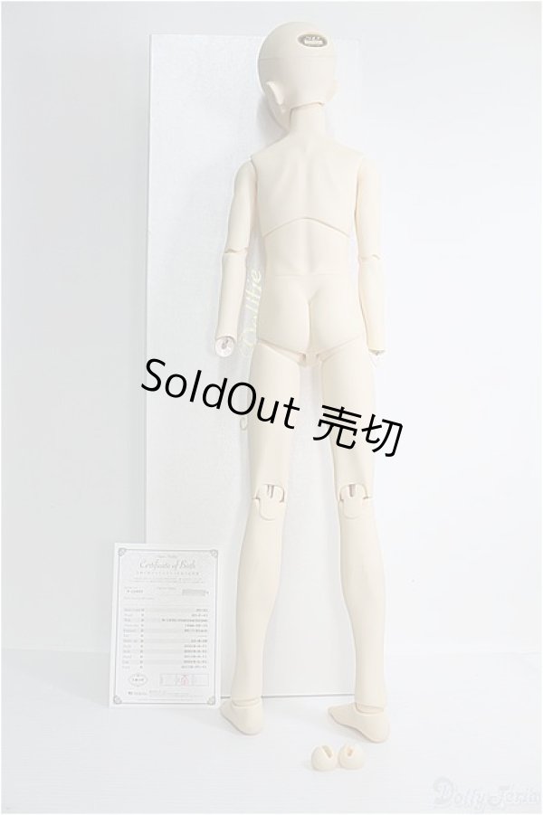 画像6: SDGrBOY/フルチョイス：F-40番ヘッド I-24-09-08-1003-TO-ZI (6)